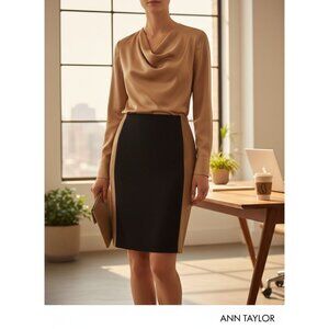 Ann Taylor Black & Tan Colorblock Pencil Skirt Size 6 Rayon Blend